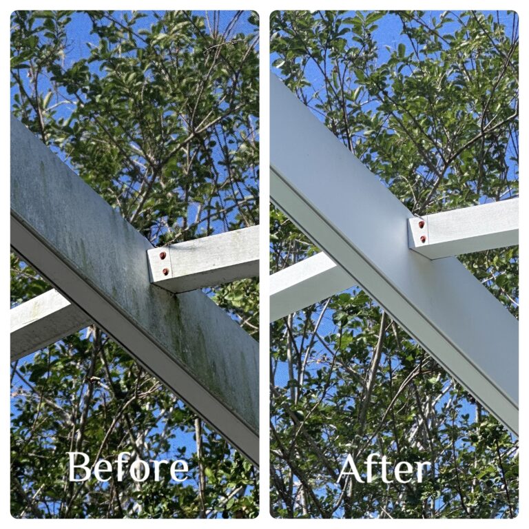pool lanai before and after